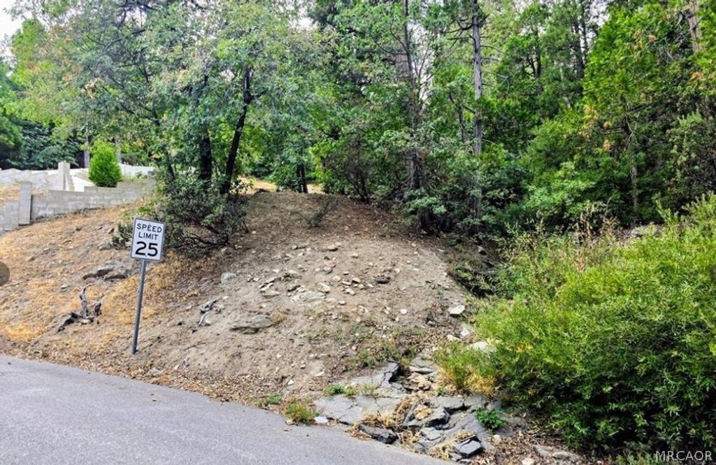 Photo of 0 Zurich, Lake Arrowhead, CA 92352 (MLS # 32600508)