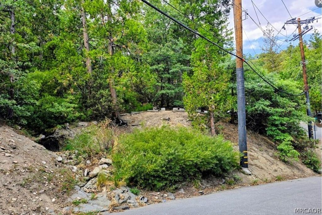 Photo of 0 Zurich, Lake Arrowhead, CA 92352 (MLS # 32600508)