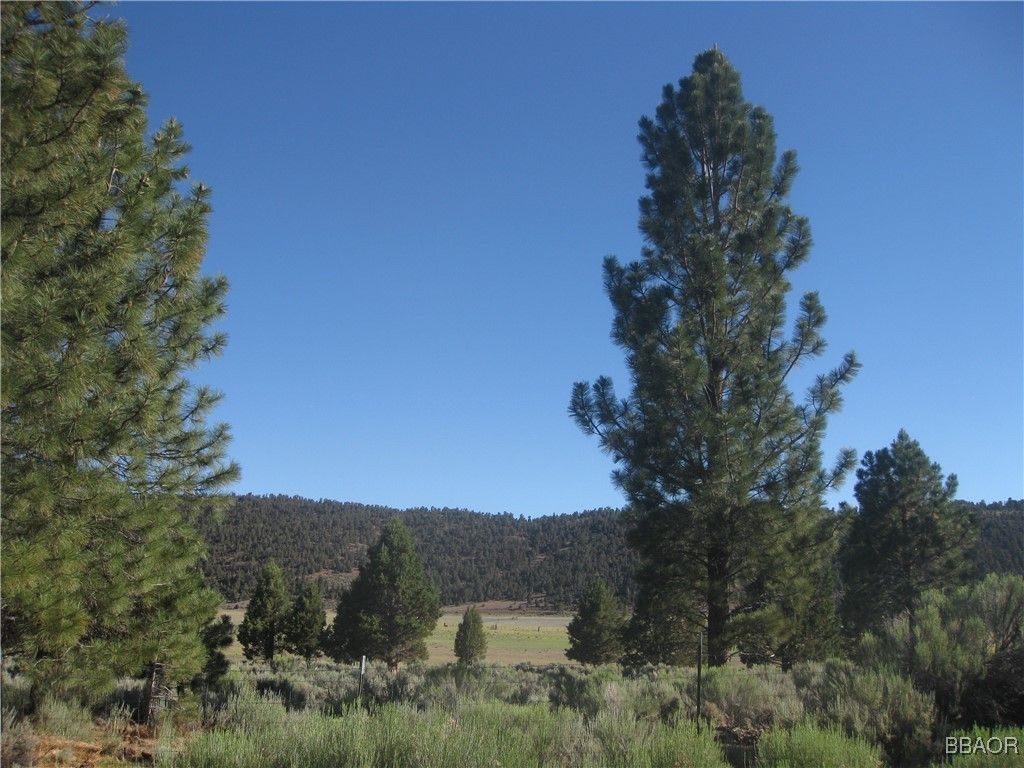 Photo of 2805 Cedar Lane, Big Bear City, CA 92314 (MLS # 32501627)