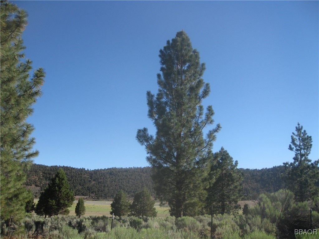 Photo of 2805 Cedar Lane, Big Bear City, CA 92314 (MLS # 32501627)
