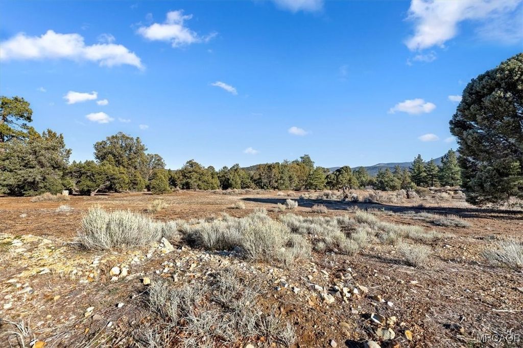 Photo of 329 Pine Lane, Big Bear City, CA 92314 (MLS # 32600089)