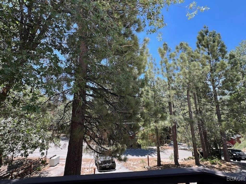 Photo of 658 Dahlia Drive, Green Valley Lake, CA 92341 (MLS # 32502124)