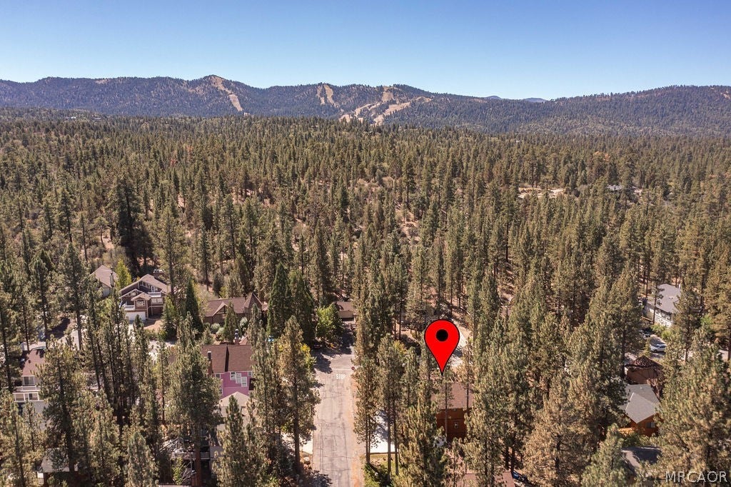 Photo of 451 Pineview Drive, Big Bear City, CA 92314 (MLS # 32602196)
