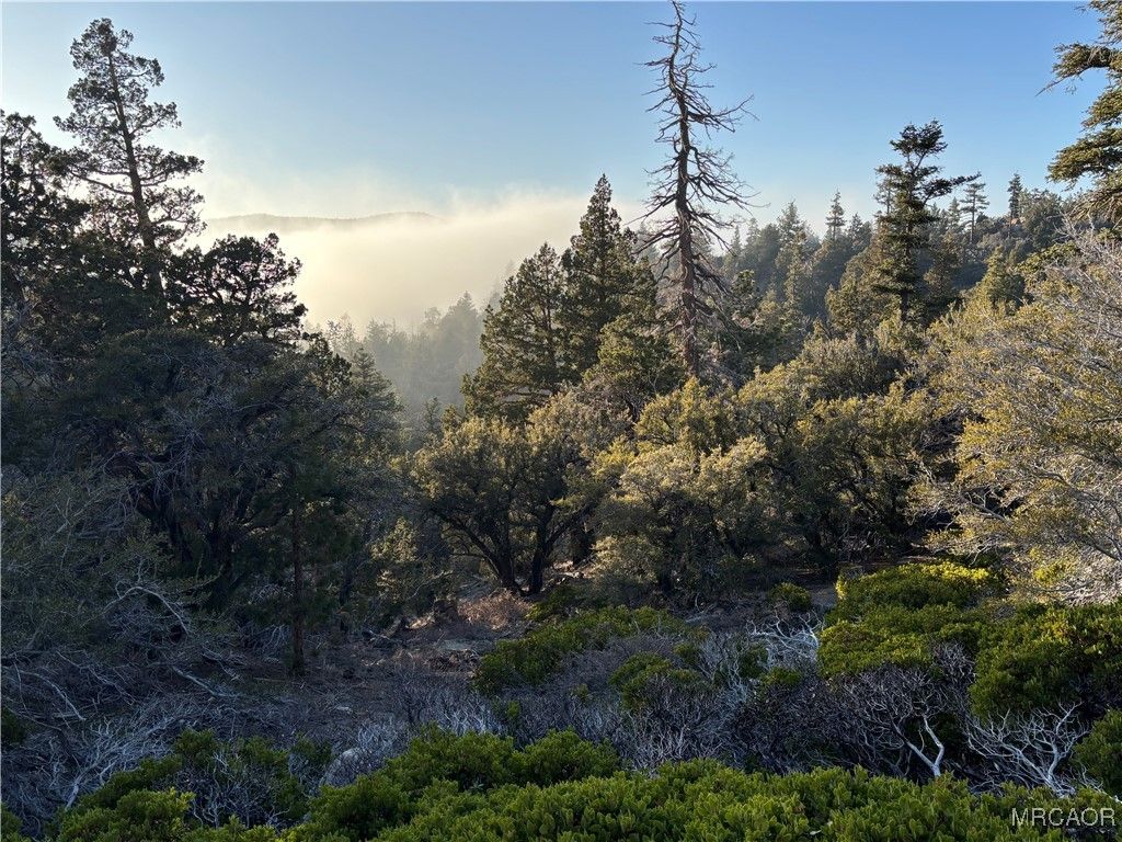 Photo of 0 Ironwood, Angelus Oaks, CA 92305 (MLS # 32600128)