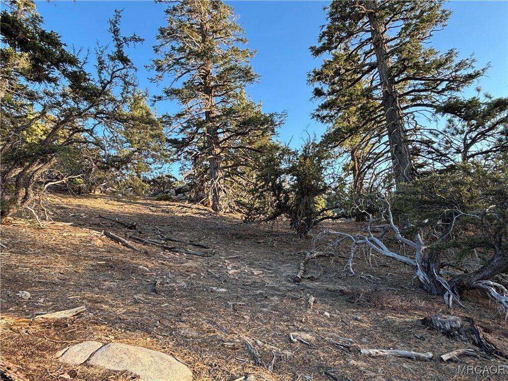 Photo of 0 Ironwood, Angelus Oaks, CA 92305 (MLS # 32600128)