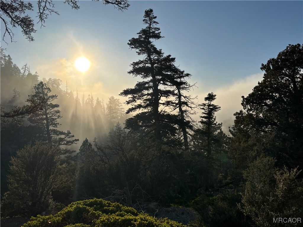 Photo of 0 Ironwood, Angelus Oaks, CA 92305 (MLS # 32600128)