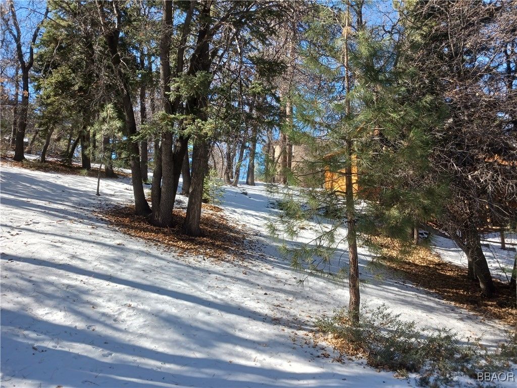 Photo of 0 Columbine Drive, Big Bear City, CA 92314 (MLS # 32500060)