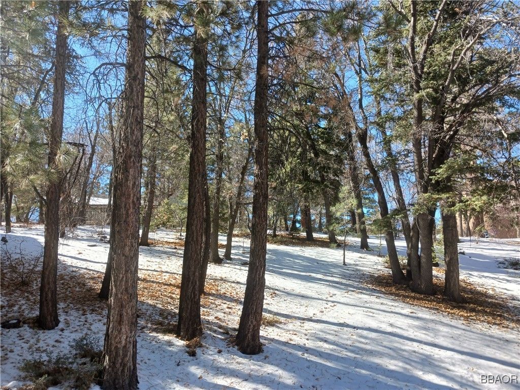 Photo of 0 Columbine Drive, Big Bear City, CA 92314 (MLS # 32500060)