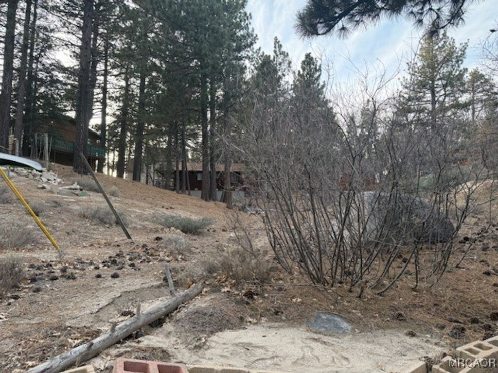 Photo of 0 Iris Drive, Green Valley Lake, CA 92341 (MLS # 32600164)