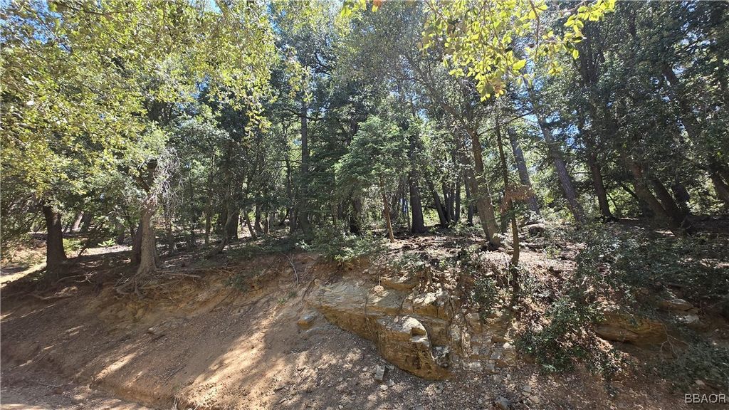Photo of 0 Mojave River Road, Cedarpines Park, CA 92322 (MLS # 32501731)