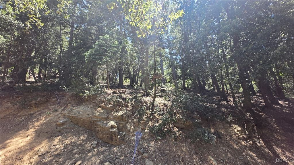 Photo of 0 Mojave River Road, Cedarpines Park, CA 92322 (MLS # 32501731)