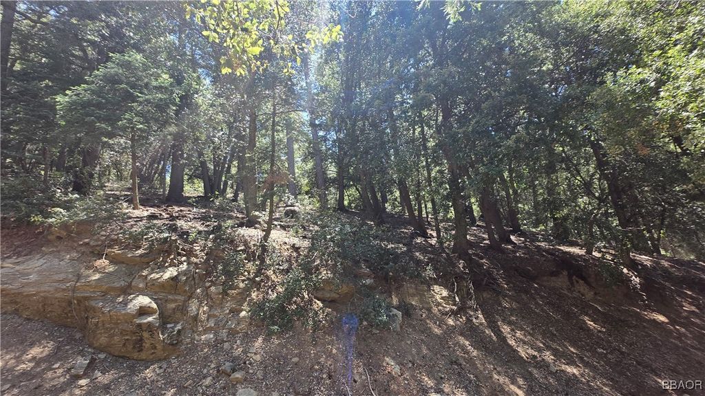 Photo of 0 Mojave River Road, Cedarpines Park, CA 92322 (MLS # 32501731)