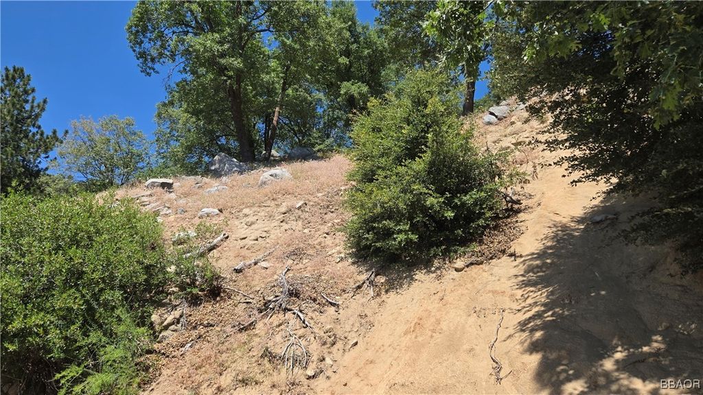 Photo of 0 Edelweiss Drive, Crestline, CA 92325 (MLS # 32501759)