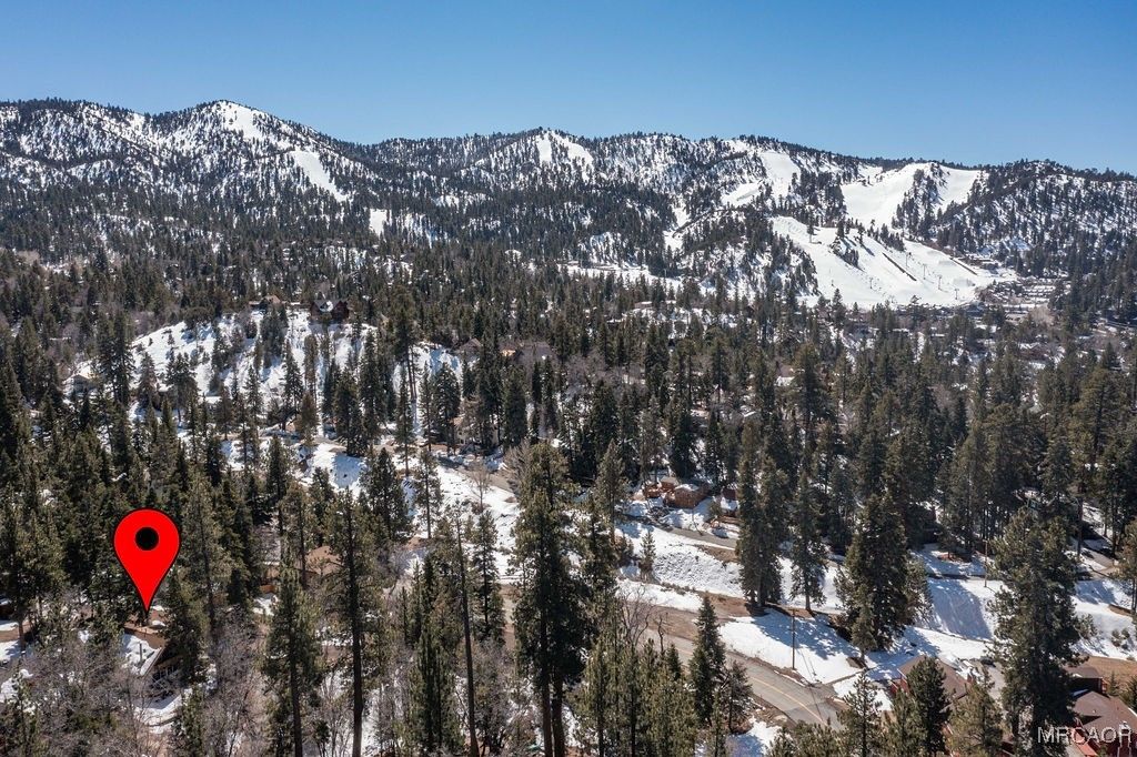 Photo of 43411 Sheephorn Road, Big Bear Lake, CA 92315 (MLS # 32600067)