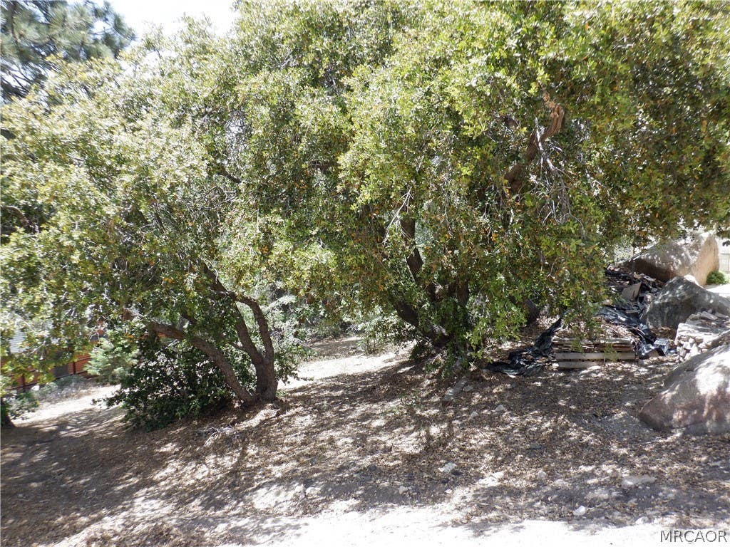 Photo of 0 Holcomb Creek Drive, Green Valley Lake, CA 92341 (MLS # 32601325)