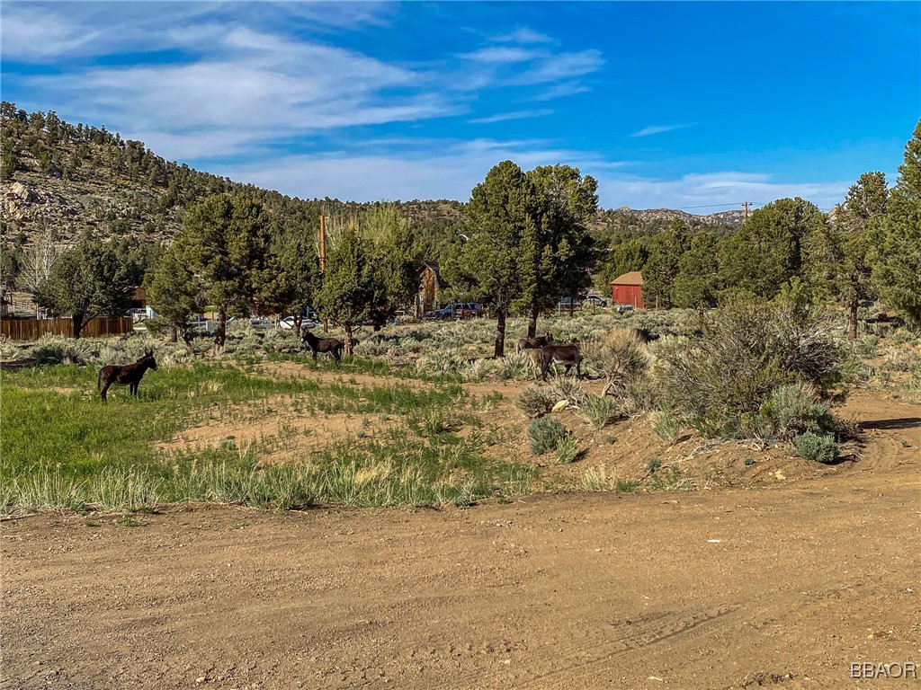 Big Bear City, California, 92314, United States, 2 Bedrooms Bedrooms, ,1 BathroomBathrooms,Residential,Active,1914609
