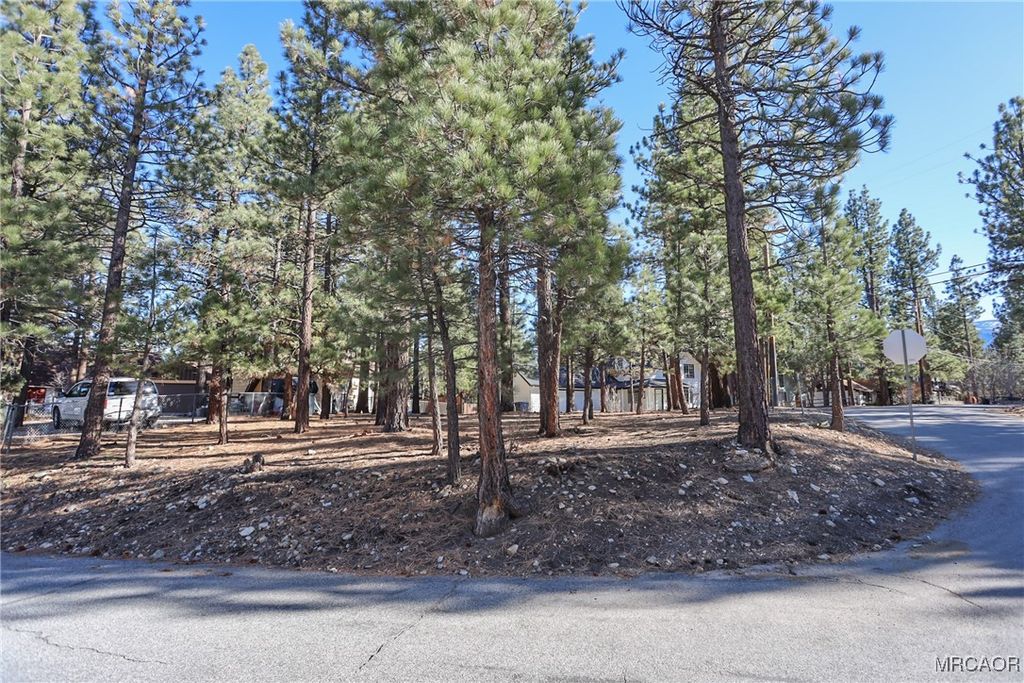 Photo of 0 Dutch, Big Bear City, CA 92314 (MLS # 32502783)