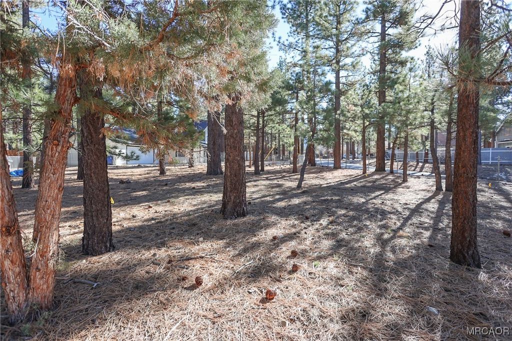 Photo of 0 Dutch, Big Bear City, CA 92314 (MLS # 32502783)