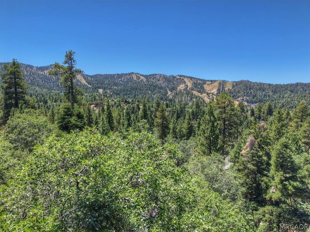Photo of 0 Sheephorn Road, Big Bear Lake, CA 92315 (MLS # 32601919)