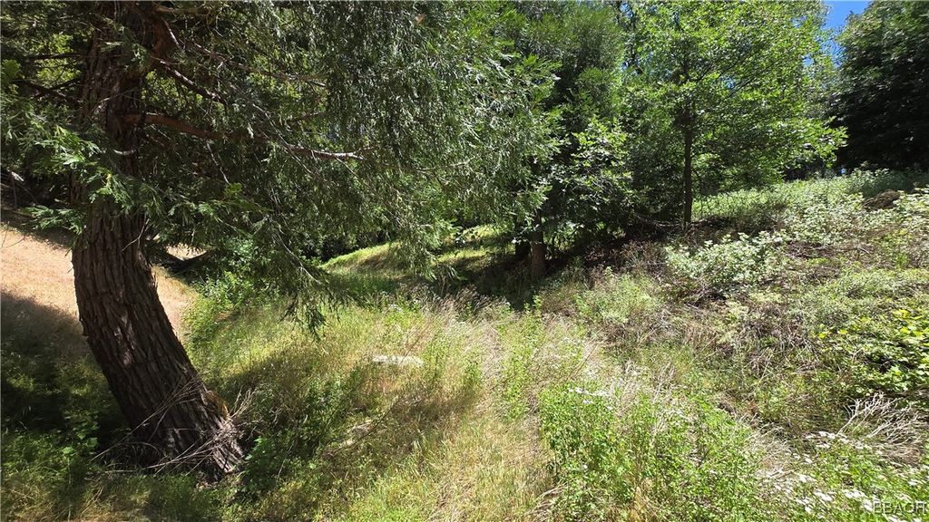Photo of 0 Mojave River, Cedarpines Park, CA 92322 (MLS # 32501742)