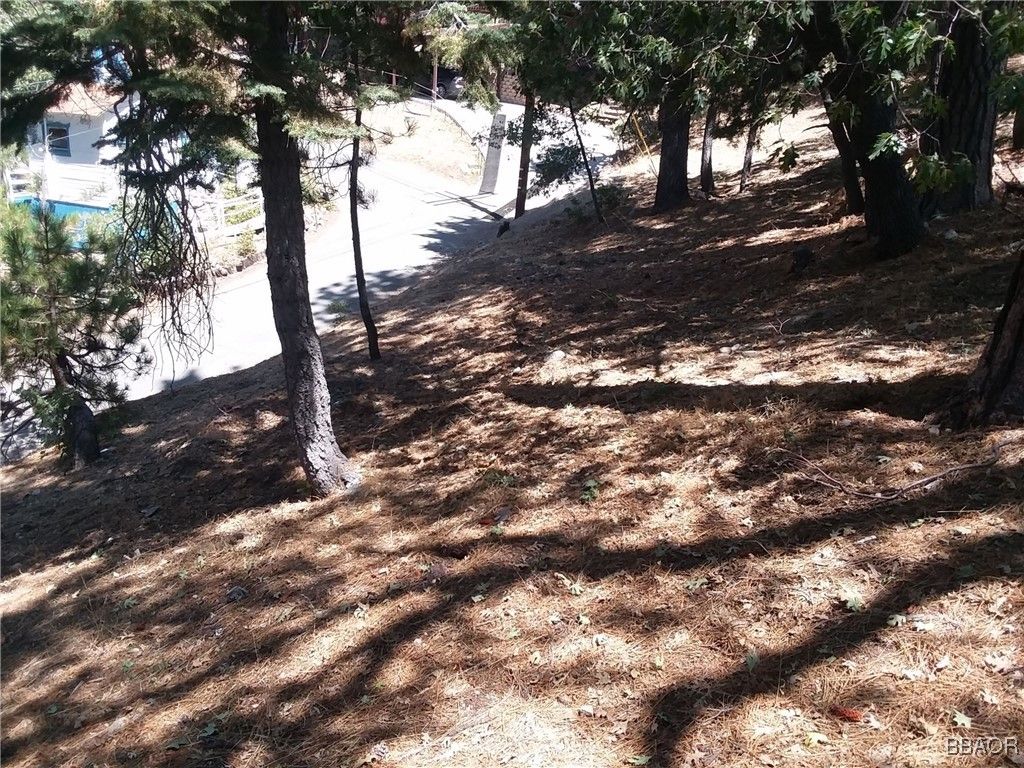 Photo of 32960 Lone Pine Drive Dr, Big Bear Lake, CA 92382 (MLS # 32501694)