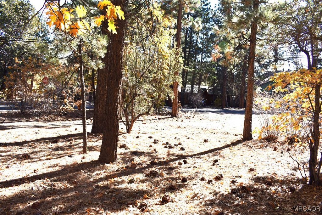 Photo of 294 Pine Lane, Sugarloaf, CA 92386 (MLS # 32502641)