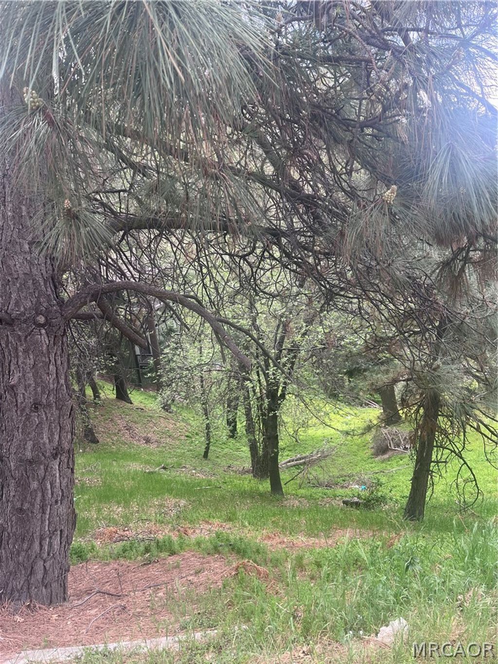 Photo of 0 Jewel Drive, Crestline, CA 92325 (MLS # 32600781)