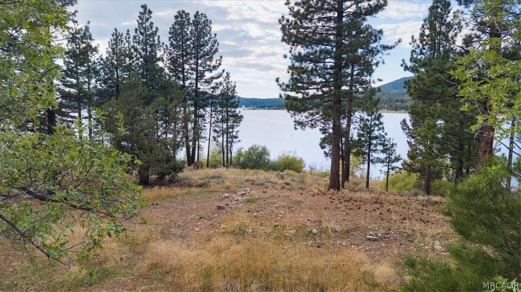 Photo of 250 Eagle Drive, Big Bear Lake, CA 92315 (MLS # 32602369)