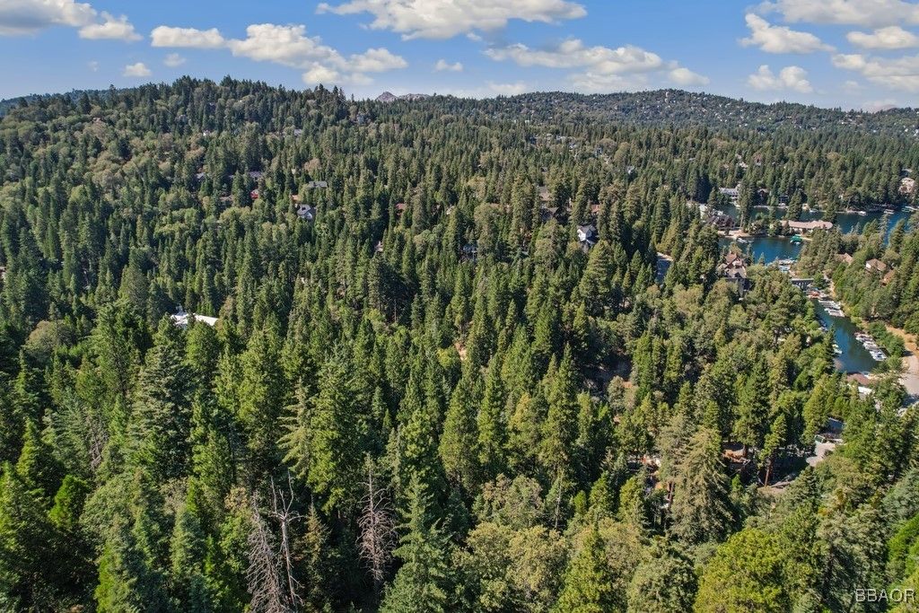 Photo of 0 Ca-189, Blue Jay, CA 92317 (MLS # 32502058)