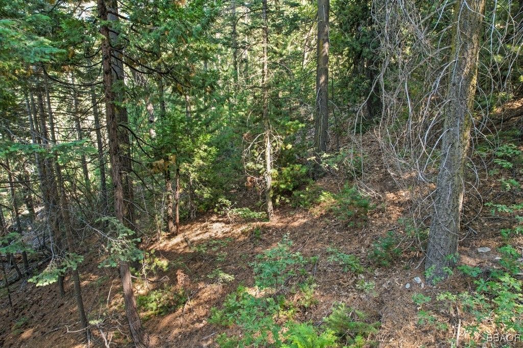 Photo of 0 Ca-189, Blue Jay, CA 92317 (MLS # 32502058)