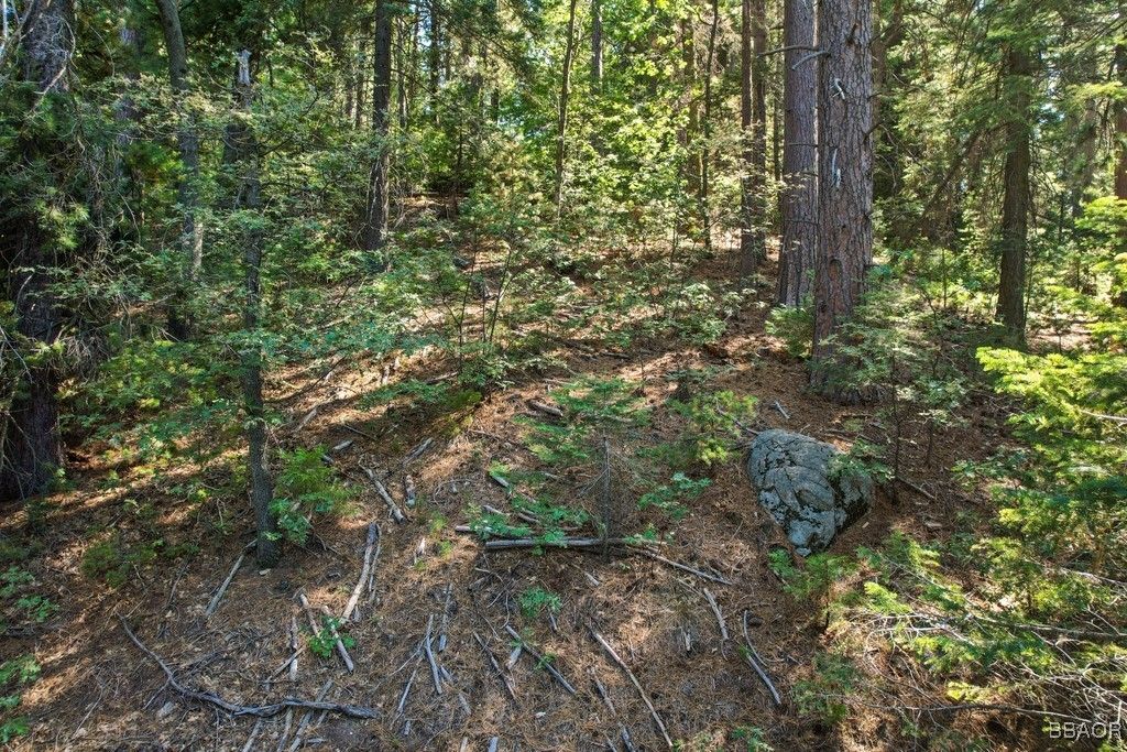 Photo of 0 Ca-189, Blue Jay, CA 92317 (MLS # 32502058)