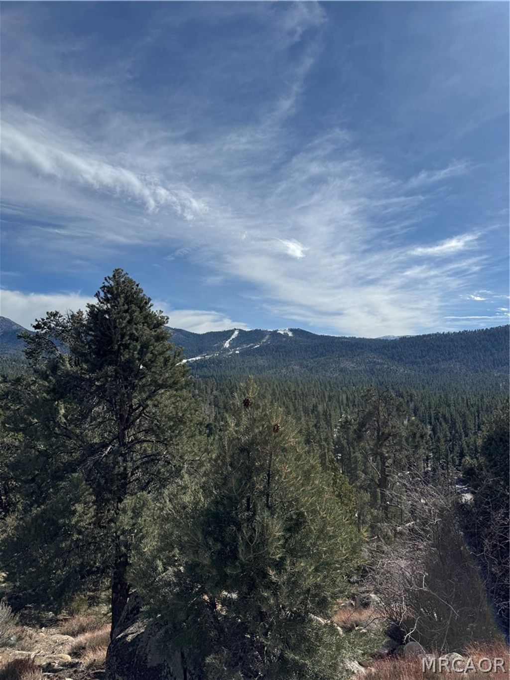 Photo of 42535 Pegasus Way, Big Bear Lake, CA 92315 (MLS # 32600441)