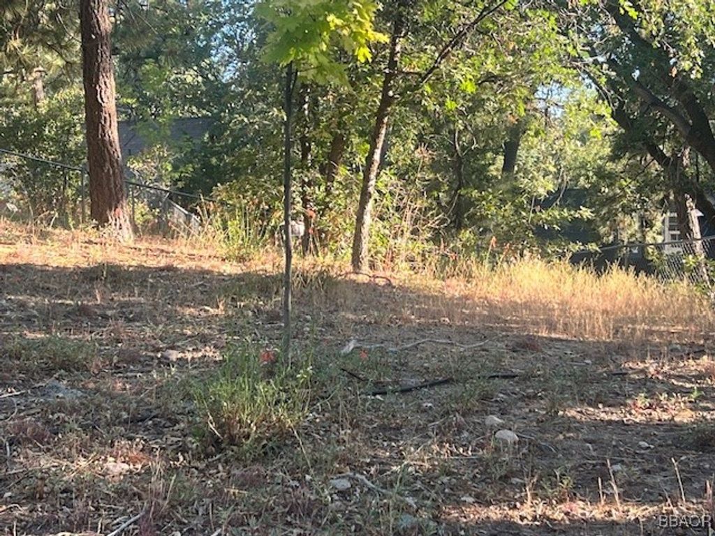 Photo of 0 Hardy Way, Arrowbear, CA 92382 (MLS # 32501878)