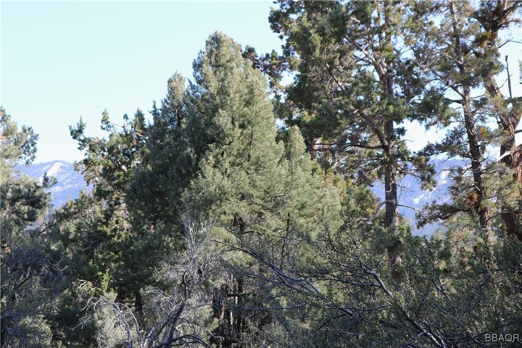 Photo of 44 Lakeview Tract, Fawnskin, CA 92333 (MLS # 32500811)