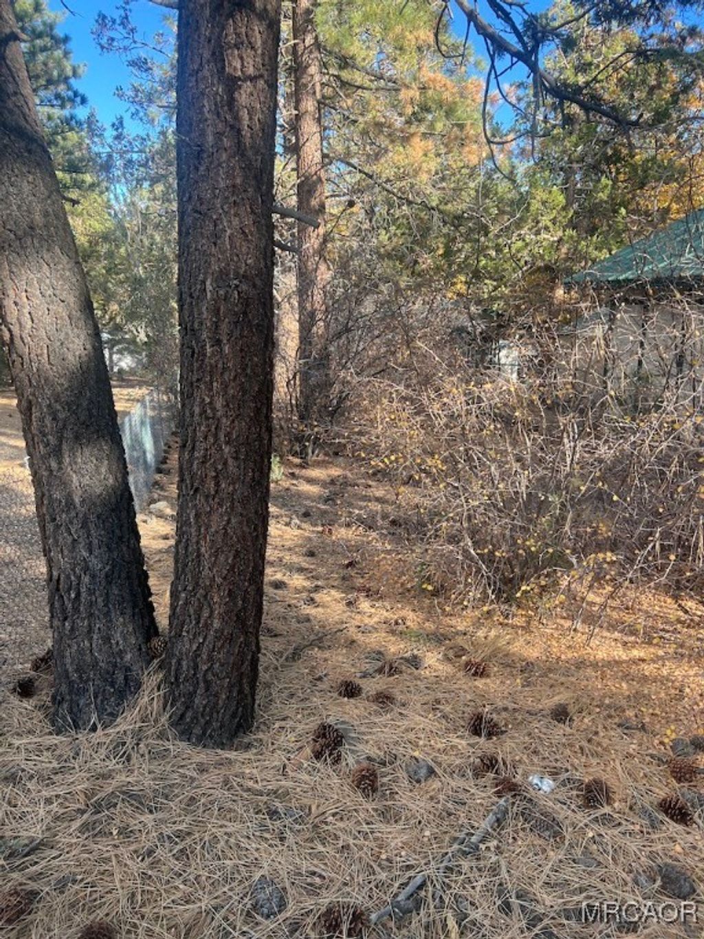 Photo of 569 Victoria Avenue, Sugarloaf, CA 92386 (MLS # 32502571)