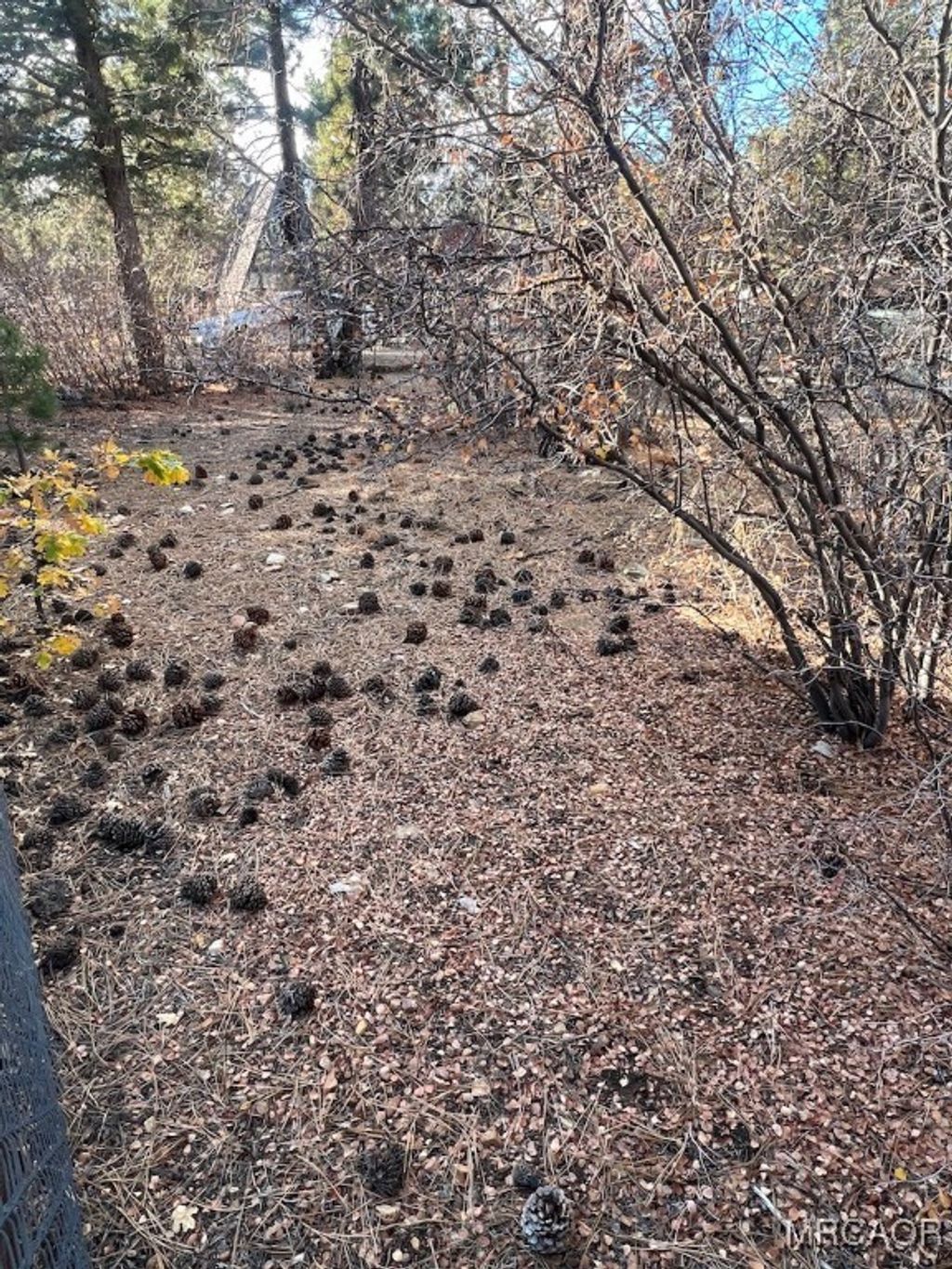 Photo of 569 Victoria Avenue, Sugarloaf, CA 92386 (MLS # 32502571)