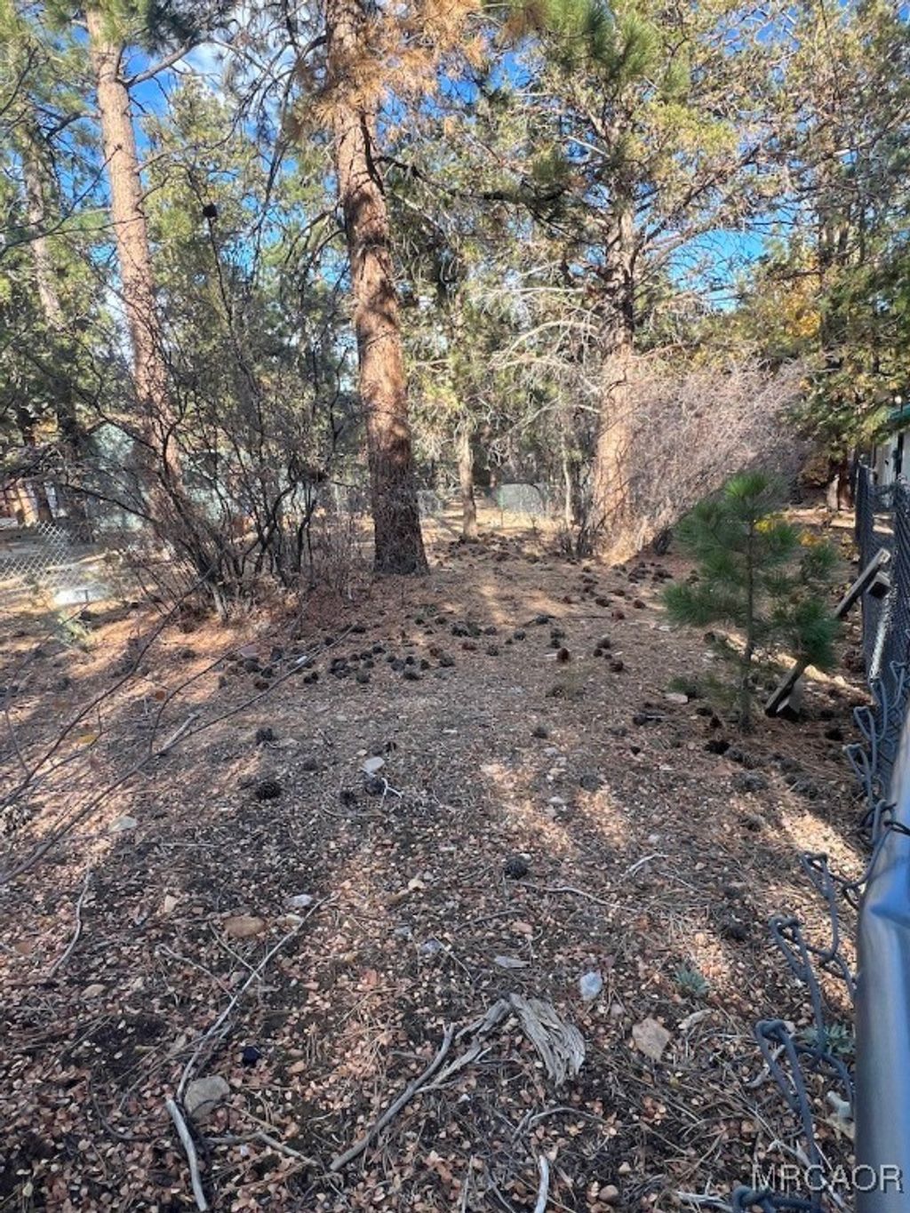 Photo of 569 Victoria Avenue, Sugarloaf, CA 92386 (MLS # 32502571)