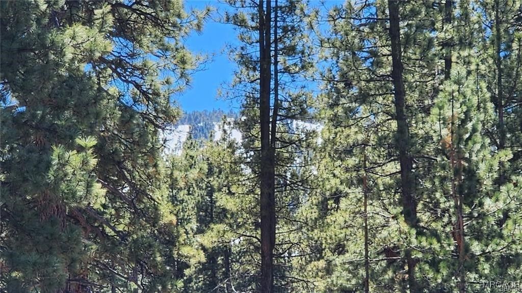 Photo of 140 Olympic Dr., Big Bear Lake, CA 92315 (MLS # 32502805)