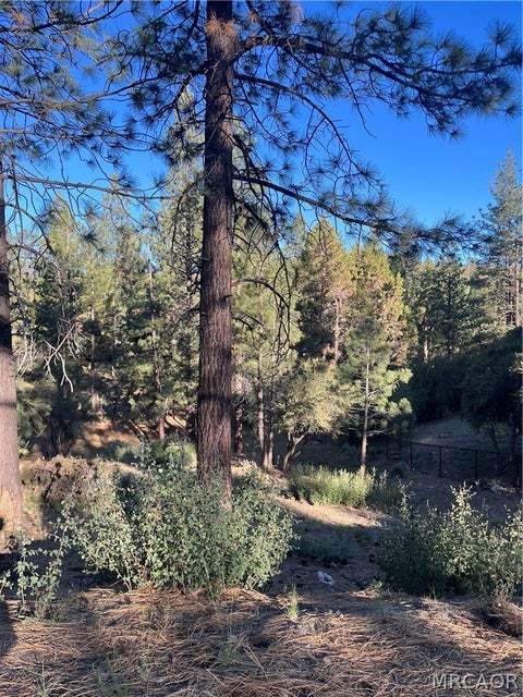 Photo of 545 Division Drive, Big Bear City, CA 92314 (MLS # 32601297)