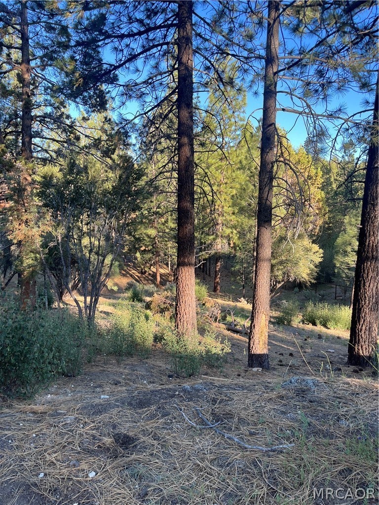 Photo of 545 Division Drive, Big Bear City, CA 92314 (MLS # 32601297)