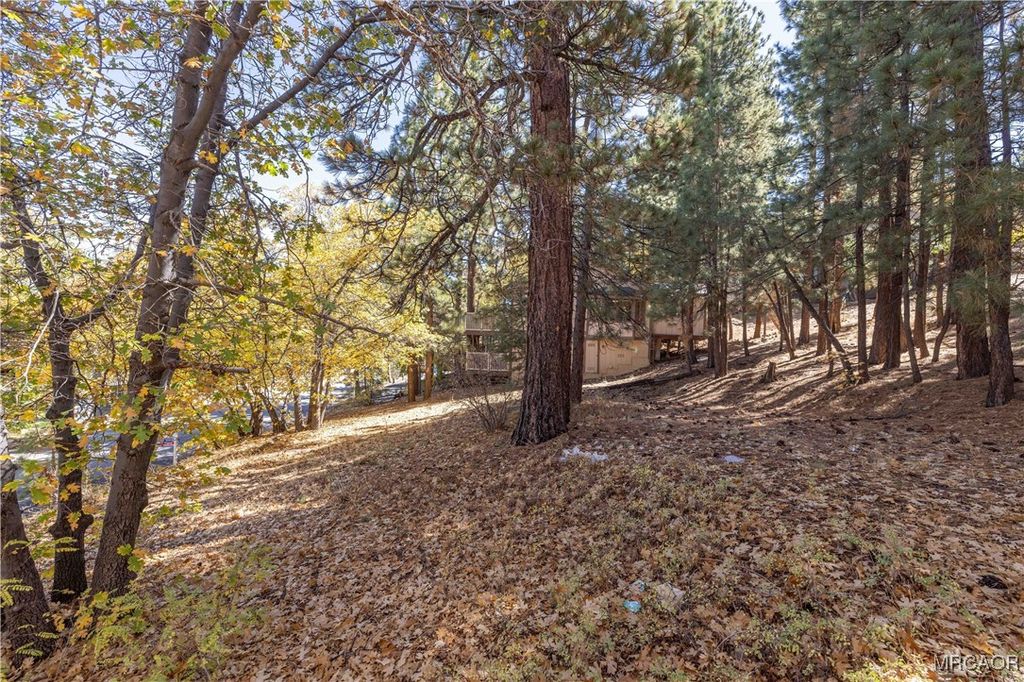 Photo of 1409 Klamath Road, Big Bear City, CA 92314 (MLS # 32502500)