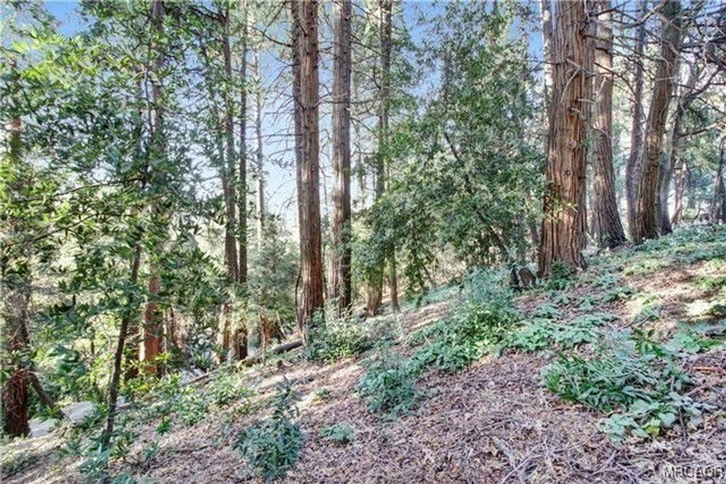 Photo of 0-2661 Scenic Drive, Crestline, CA 92325 (MLS # 32600010)
