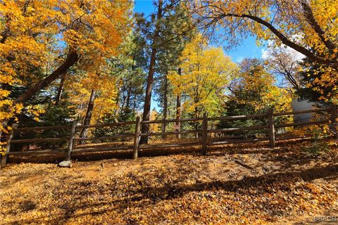Photo of 0 Ford Lane, Big Bear Lake, CA 92315 (MLS # 32405957)