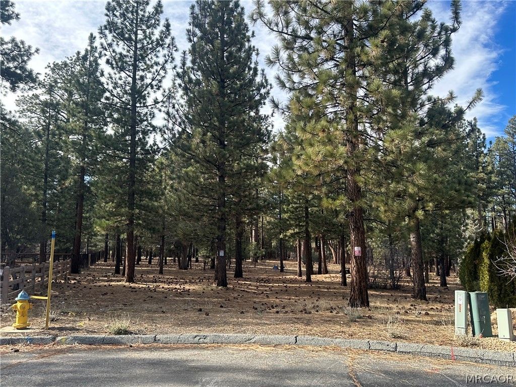 Photo of 1801 Shady Lane, Big Bear City, CA 92314 (MLS # 32600250)