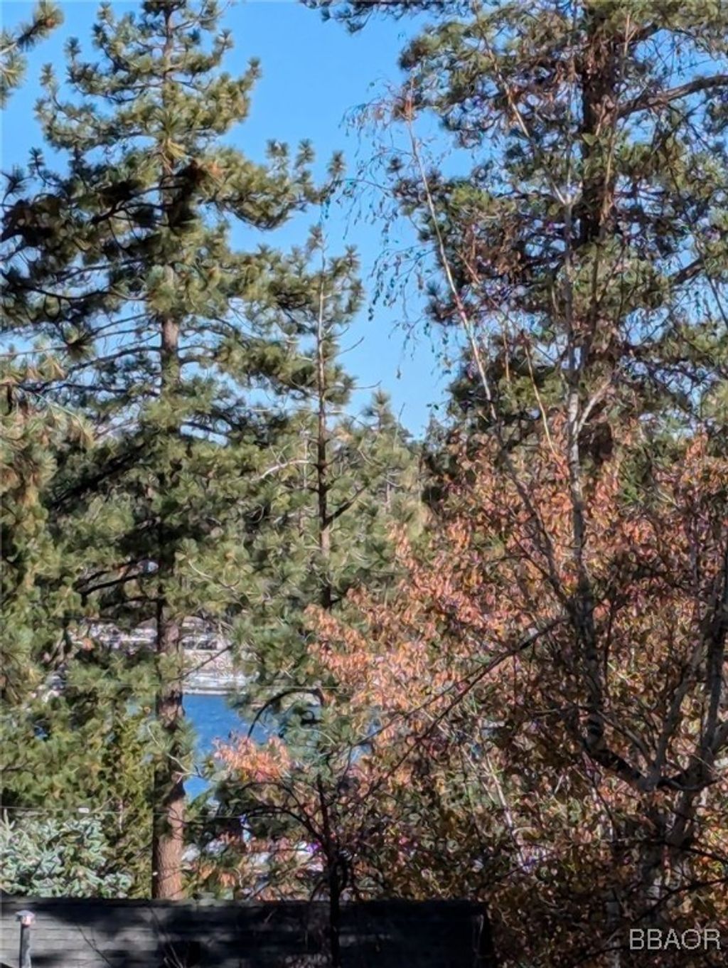 Photo of 543 Chipmunk Lane, Big Bear Lake, CA 92315 (MLS # 32406159)