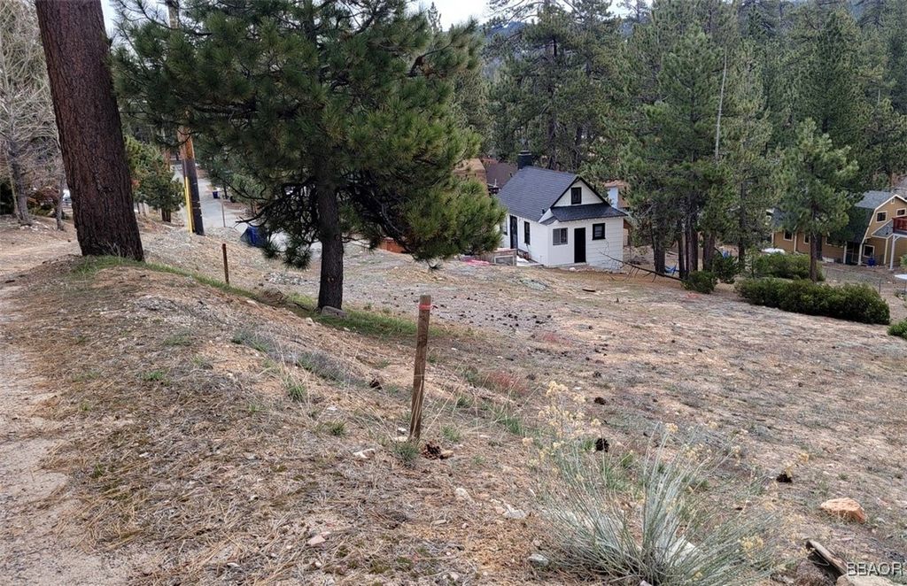 Photo of 39243 Crest Lane, Big Bear Lake, CA 92315 (MLS # 32501250)