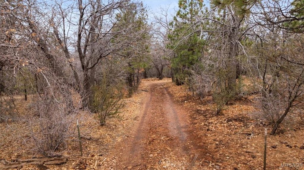 Photo of 751 Needle Lane, Big Bear City, CA 92314 (MLS # 32600059)