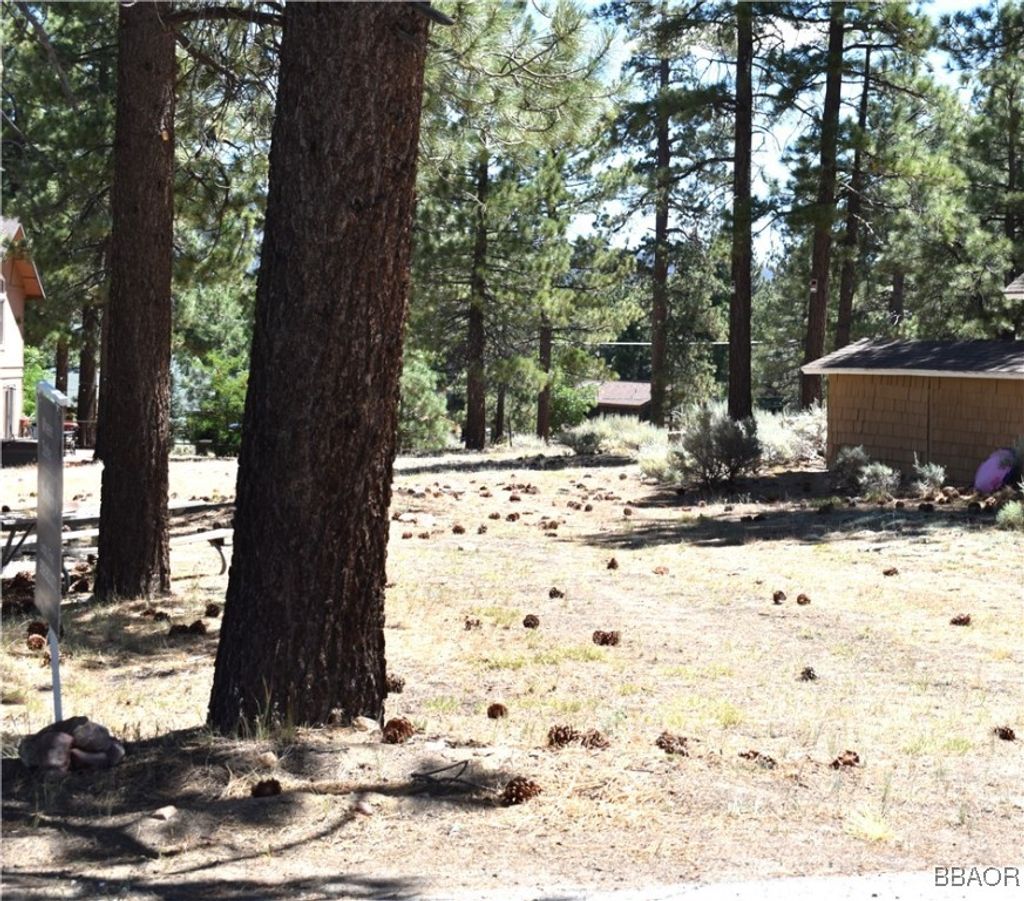 Photo of 0 Forest Road, Big Bear Lake, CA 92315 (MLS # 32501718)