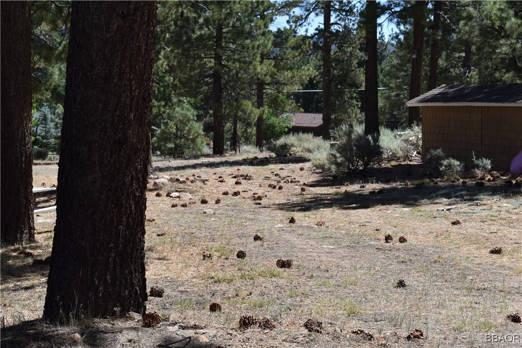 Photo of 0 Forest Road, Big Bear Lake, CA 92315 (MLS # 32501718)