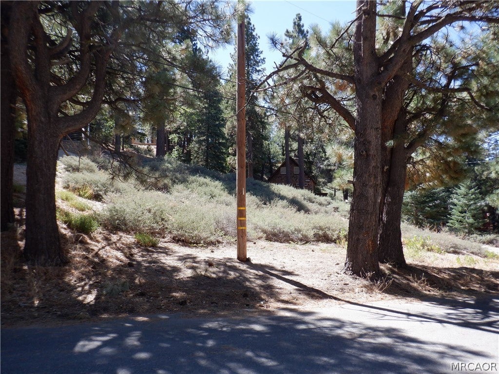 Photo of 0 Wild Rose Drive Wild Rose, Green Valley Lake, CA 92341 (MLS # 32602124)